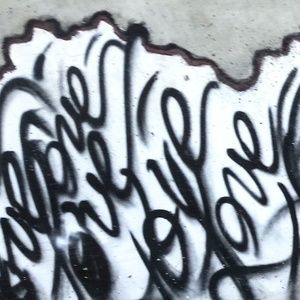 Meet your Posher, Zoey